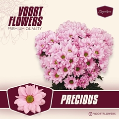 Chrysanth Spray Precious 70cm 85gr.