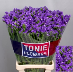 Limonium Sinuatum Crystal Dark Blue 80cm 70gr.