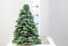 Christmas Tree 40cm
