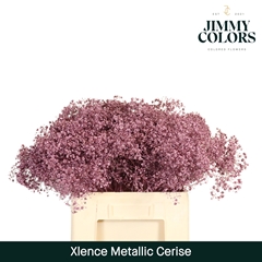Gypsophila Painted Metallic Cerise 60cm 20gr.