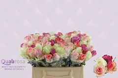 Rosa Candy Crush Mix 35cm