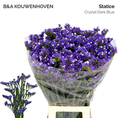 Limonium Sinuatum Crystal Dark Blue 75cm 35gr.