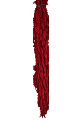 Amaranthus Caudatus Red Per Bunch 70cm