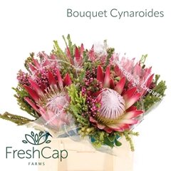 Brunia Cape Mix Bunch 40cm