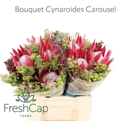 Brunia Cape Mix Bunch 40cm