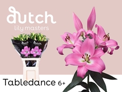 Lily Oriental Tabledance 90cm 6+