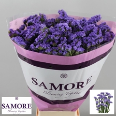 Limonium Sinuatum Acqua Sun Birds 60cm 20gr.