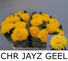 Chr G Jayz Yellow 85cm 110gr.