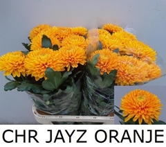 Chr G Jayz 85cm 110gr.