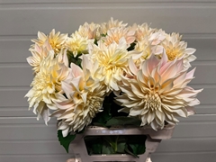 Dahlia Café Au Lait 55cm