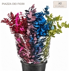 Eucalyptus Cinerea Painted Mix Per Bunch 70cm 200gr.