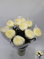 Chrysanth Single Fred Shoesmith 70cm 80gr.