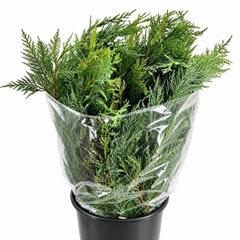 Coniferen Green 60cm