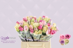 Rosa Sweet Love Mix 40cm