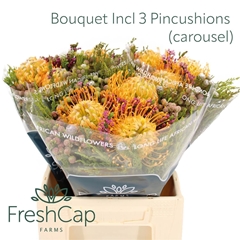 Brunia Cape Mix Bunch 40cm