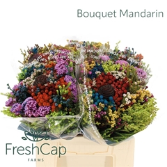 Brunia Cape Mix Bunch 40cm