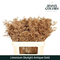 Limonium Painted Skylight Metallic Antique Gold 80cm 30gr.