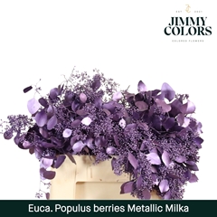 Eucalyptus Populus Painted Met Milka Berry P Bunch 60cm 200gr.