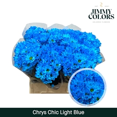 Chrysanth Spray Chic 70cm 90gr.