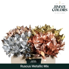 Ruscus Painted Hypophyllum Mix 50cm