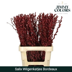 Salix Snow Flake Painted Burgundy 70cm