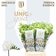Freesia Double Essence 50cm 20gr.