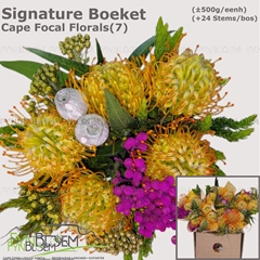 Protea Per Bunch 30cm