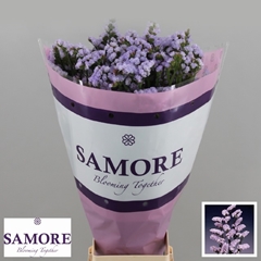 Limonium Sinuatum Donau Birds 80cm 80gr.