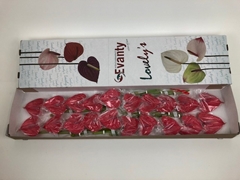 Anthurium Pink Lady 9cm Hd