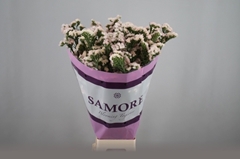 Limonium Sinuatum Apricot Sun Birds 60cm 25gr.