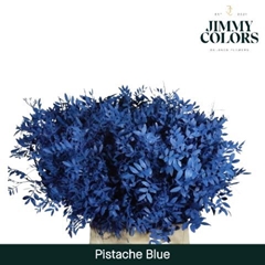 Pistacia Painted Blue 40cm