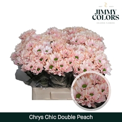 Chrysanth Spray Chic 70cm 90gr.