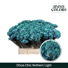 Chrysanth Spray Chic 70cm 90gr.