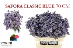 Limonium Safora Classic Blue 70cm 70gr.