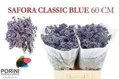 Limonium Safora Classic Blue 60cm 50gr.