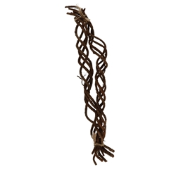 Dried Articles Liane Bunch 50cm X8
