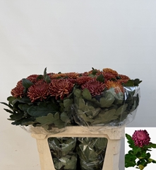 Chrysanth Single Bigoudi Copper 80cm 95gr.