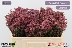 Limonium Sinense Sensy Pink Beauty 50cm 10gr.