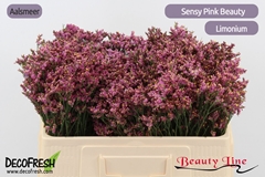 Limonium Sinense Sensy Pink Beauty 50cm 10gr.