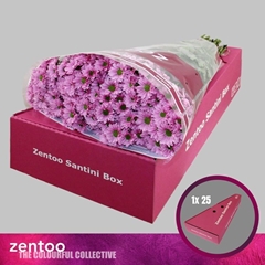 Chrysanth Santini Pulse Pink 55cm 40gr.
