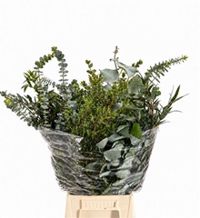 Eucalyptus Mix Per Bunch 50cm 150gr.