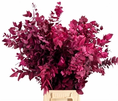 Eucalyptus Stuartiana Cerise Per Bunch 70cm 150gr.