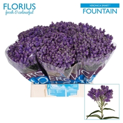 Veronica Smart Fountain 40cm