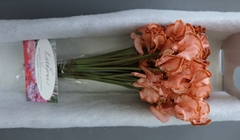 Lathyrus Parfum Painted Chocolate Magic 35cm