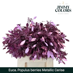 Eucalyptus Populus Painted Metal Cerise Per Bunch 60cm 200gr.