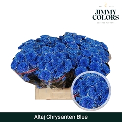Chrysanth Spray Painted Altaj Blue 70cm 105gr.