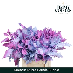 Quercus Rubra Painted Double Bubble 60cm