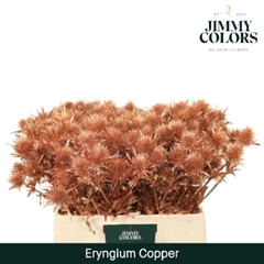 Eryngium Painted Copper + Glitter 60cm