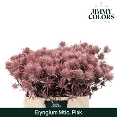 Eryngium Painted Metallic Pink + Glitter 60cm