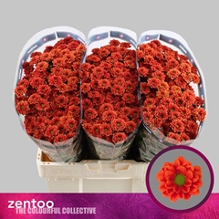 Chrysanth Santini Melissa 55cm 40gr.